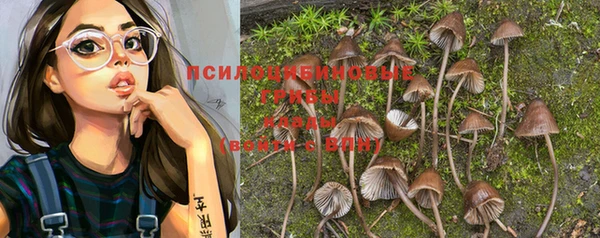 гашик Инта