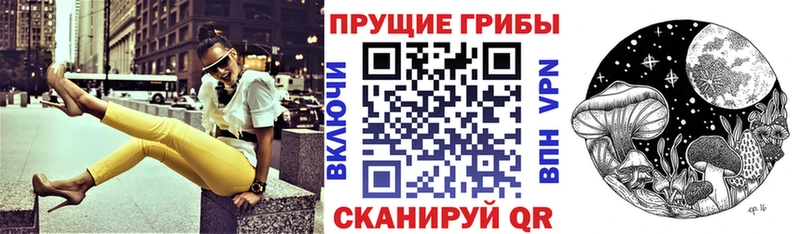 сколько стоит Владивосток Галлюциногенные грибы прущие грибы